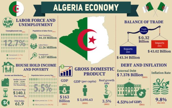 Algeria Economy Infographic Graphics for Branding