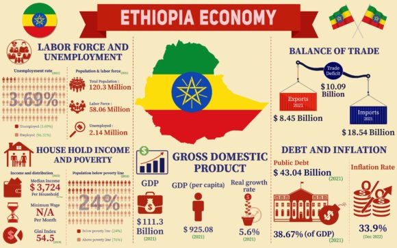 Ethiopia Economy Infographic Charts for Design Projects